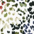 SRKXD-20576-286 WILD