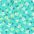 SRKXD-20642-385 EUCALYPTUS