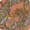 Featured image SS-1D1577-149 APRICOT