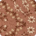 Featured image SS-1D1598-97 ROSE