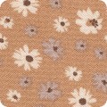 Featured image SS-1D1619-149 APRICOT