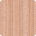Featured image SS-1D682-149 APRICOT