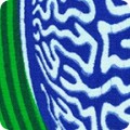 UW-24732B2B-2 PEAPOD