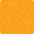 Waxer Canvas