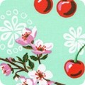 Wishwell: Cheery Blossom
