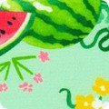 Fabric Fruit/Vegetable