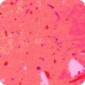 Featured image WELDX-21619-143 CORAL