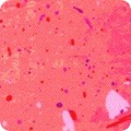 RK-product WELDX-21619-143