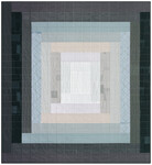 Fabric Ray