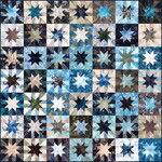 Fabric Challenge Star Quilt