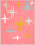 Stars Over Pink Flamingo Stars Over Pink Flamingo
