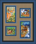 Wildlife Windows photos