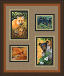 Wildlife Windows photos