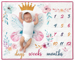 Fabric Baby Milestone Quilt