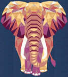 Fabric The Elephant Abstractions