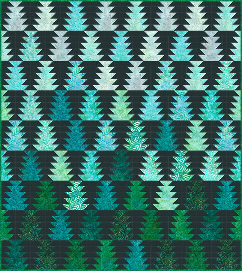 Conifer