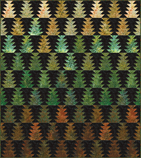 Conifer