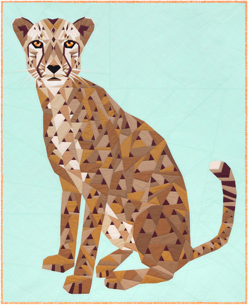 Cheetah Abstractions