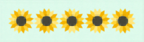 The Sunflower