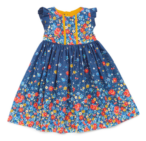The Birthday Dress