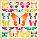 Lepidoptera by Elizabeth Hartman feat. Kona® Cotton