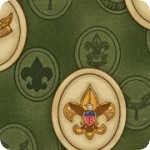 Boy Scouts of America&reg;