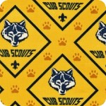 Boy Scouts of America&reg;