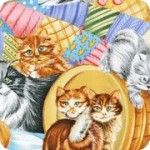 Perfect Pets