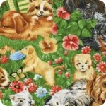 Perfect Pets