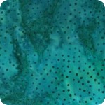 Artisan Batiks: Elementals