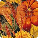 Shades of the Season 2